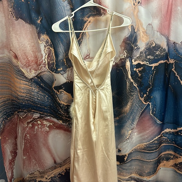 Silk Champagne maxi dress - Picture 2 of 3
